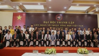 The members of Vietnam Mixed Martial Arts Federation's Executive Board