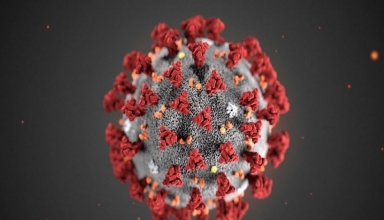 coronavirus