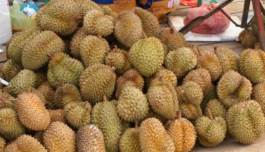 Durian