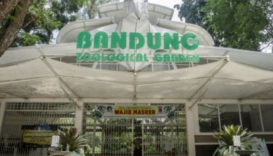 BandungZoo