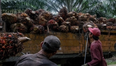 Indonesia halts migrant labor exports to Malaysia