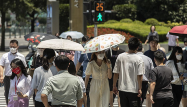 The ice industry flourishes in the summer heat in Shanghai