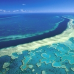 un panel recommends listing great barrier reef as in danger