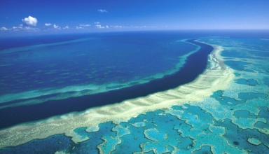 un panel recommends listing great barrier reef as in danger