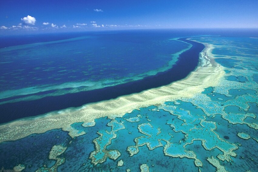 un panel recommends listing great barrier reef as in danger