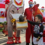 santa claus gives gifts on elephants in thailand