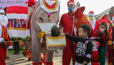 santa claus gives gifts on elephants in thailand