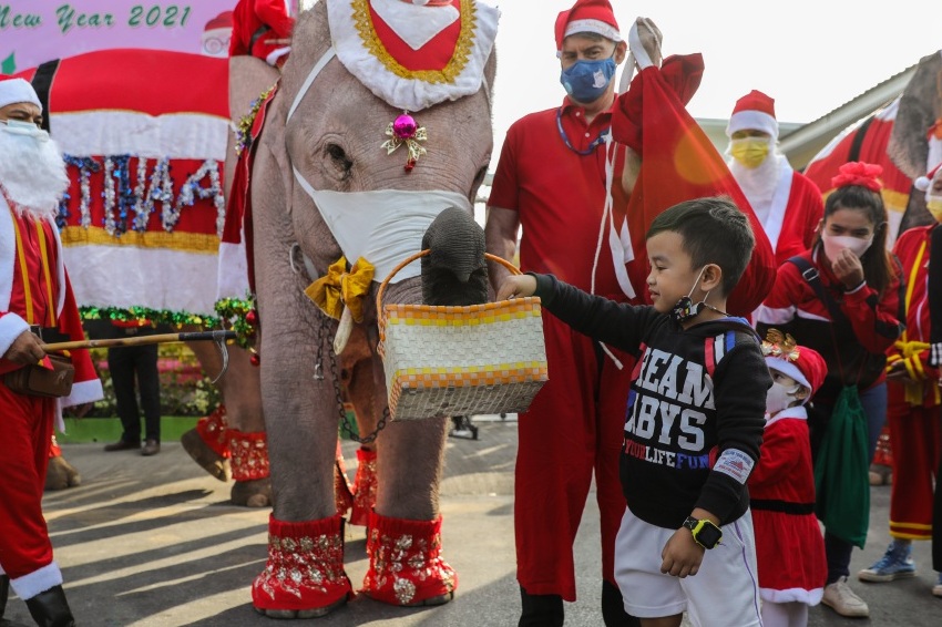Santa Claus gives gifts on elephants in Thailand