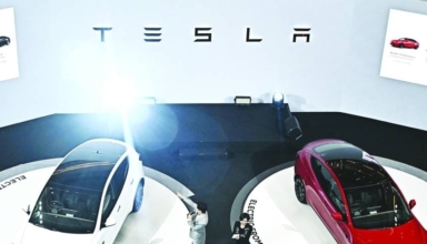 tesla enters thailand to challenge chinese evs