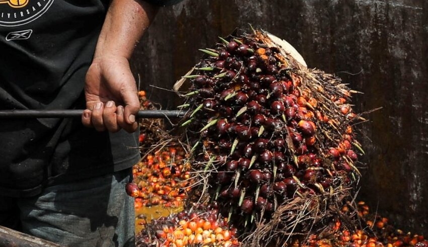 malaysian firms are pleased with the reduced need for foreign labor, but worries remain