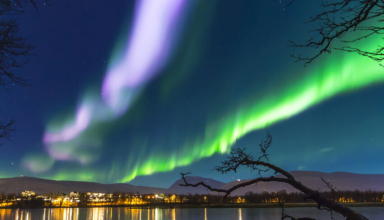 breathtaking northern lights show lights up skies across the globe