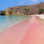 four pink beaches in philippines every traveler must visit