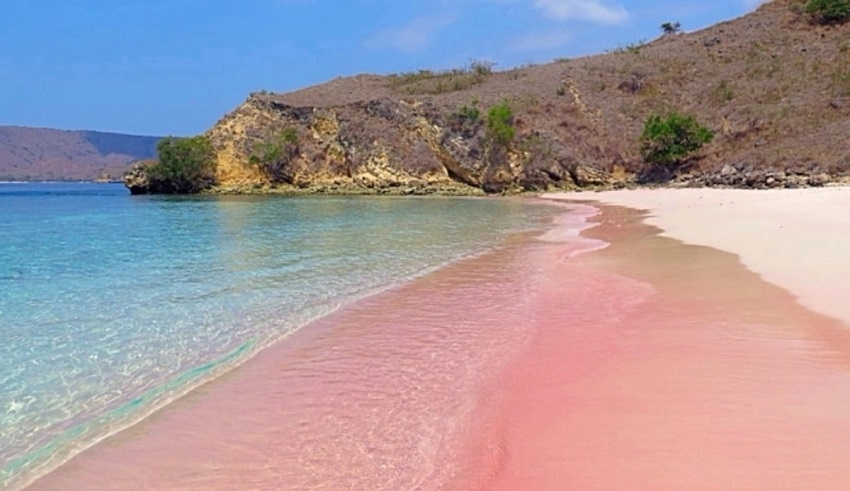 four pink beaches in philippines every traveler must visit