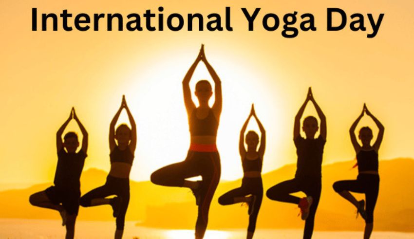 international yoga day 2023 asanas to reduce impact of sedentary lifestyle