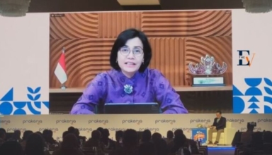 indonesia has vital leadership role in green transition finance minister