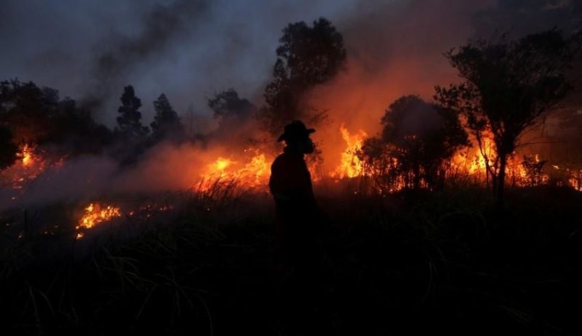 indonesia sees wildfire 'hotspots' double amid dry weather conditions