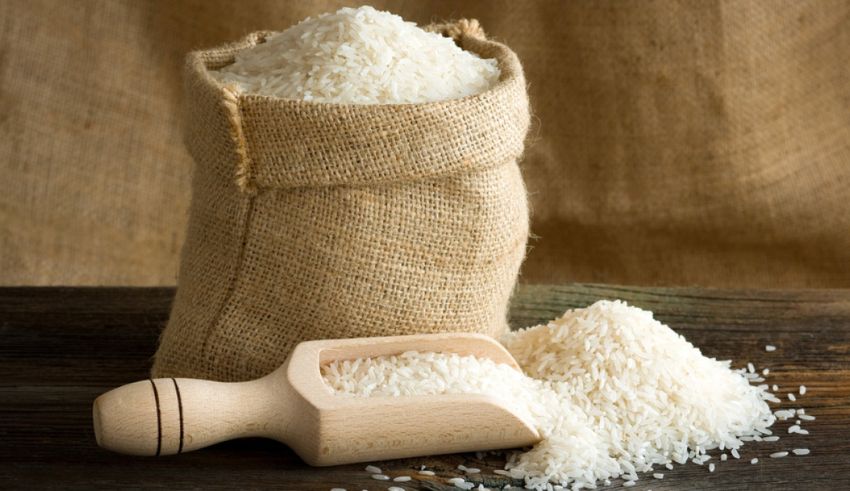 singapore seeks exemption from india's non basmati rice export ban