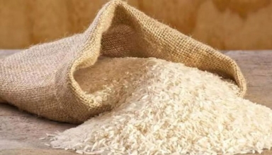 the perils of export bans india's rice decision sparks global concerns