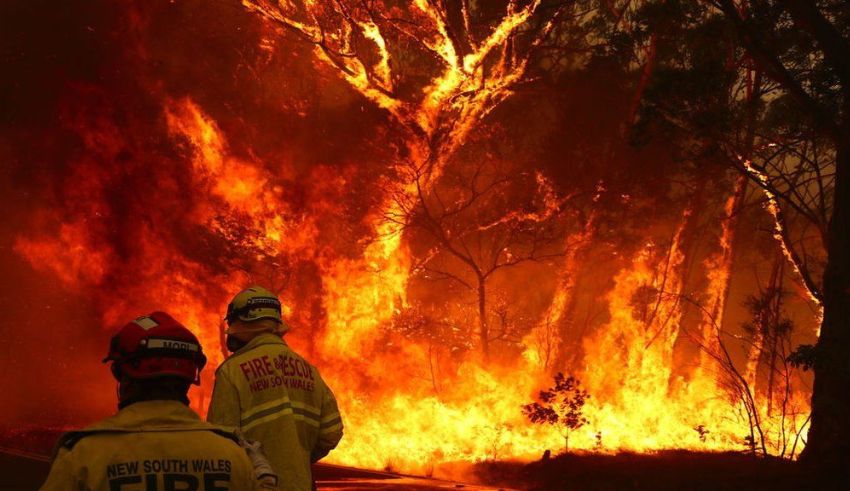 australia predicts worst bushfire season since black summer