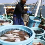 china bans all japanese seafood over fukushima water release