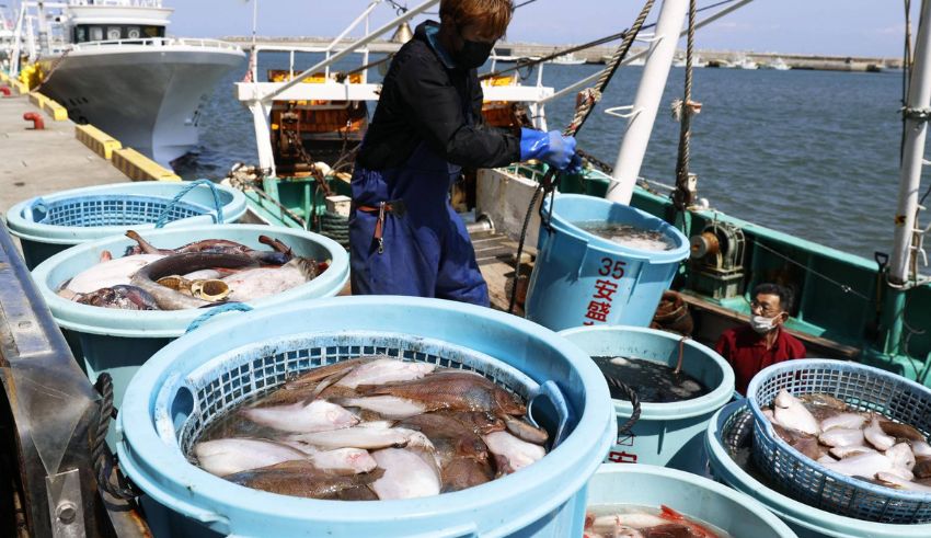 china bans all japanese seafood over fukushima water release