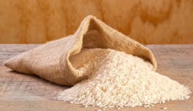 india's strategic shift analyzing the implications of rice exports to singapore