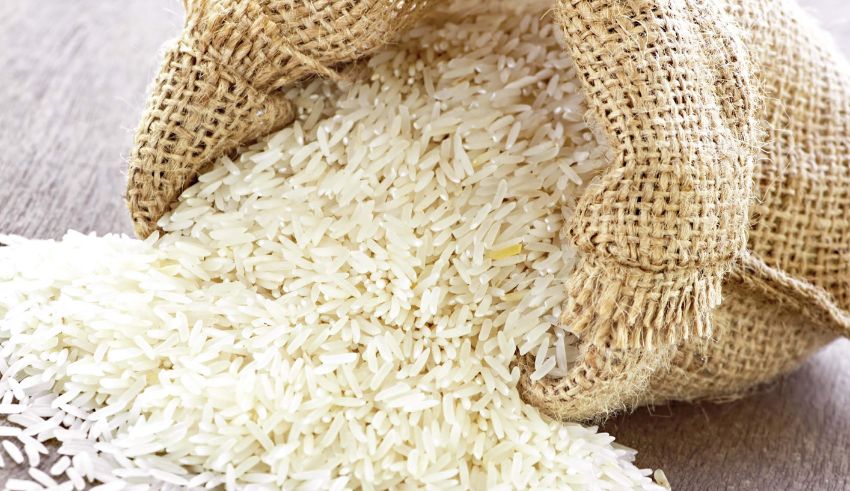 philippines in talks with vietnam and india for rice imports