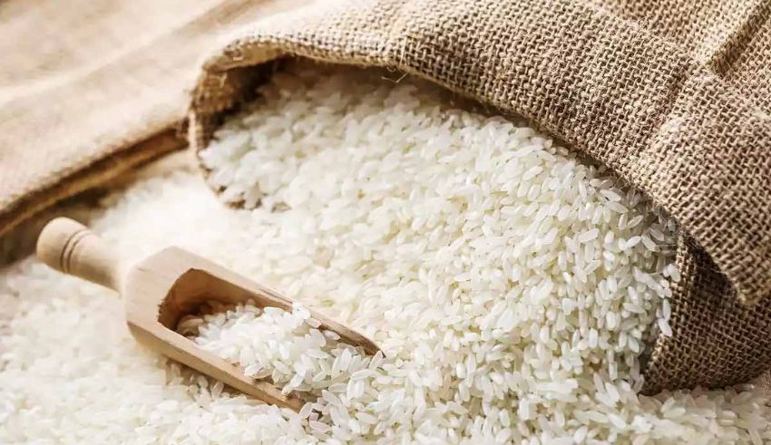 the challenge of india's rice export ban navigating global food security