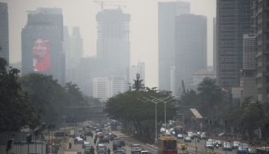 why caused the pollution crisis in indonesia (2)