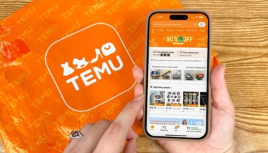 chinese app temu takes over the online shopping world