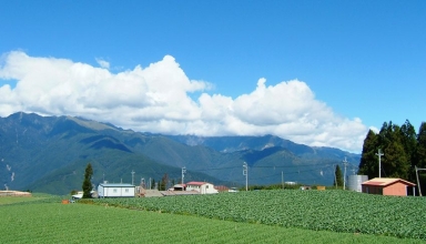 did you know a farm internship in taiwan is opening on june 2024