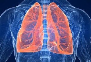breaking tuberculosis takes over indonesia and here's why