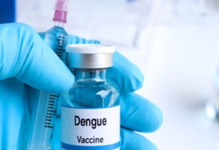 malaysia finally releases first ever dengue vaccine but it's too expensive details
