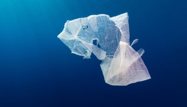 malaysia's microplastic consumption far exceeds global averages