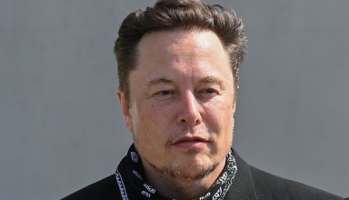 elon musk backs up trump