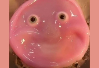 japanese scientists make smiling robot with human skin