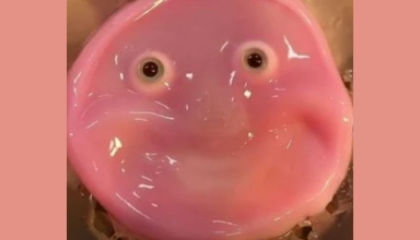 japanese scientists make smiling robot with human skin