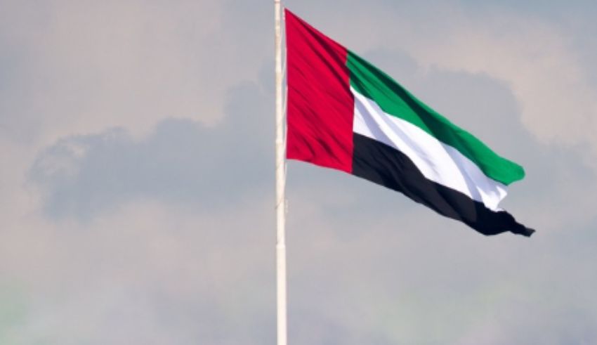 uae's lifeline to gaza (2)