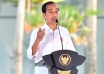 jokowi reshuffles cabinet in final weeks