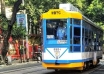 india’s oldest operating trams set to become a dying scene