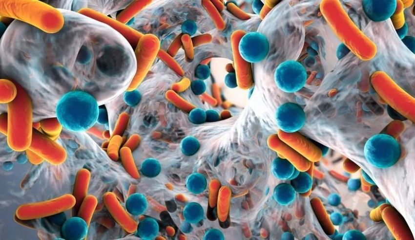 superbugs resistant to drugs expected to kill 39 million by 2025