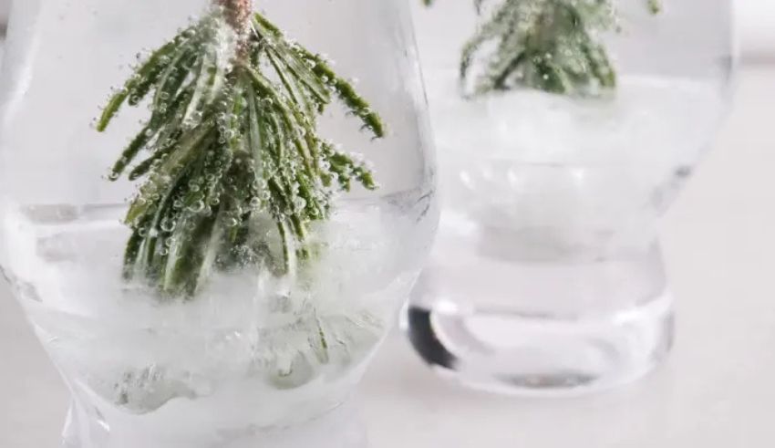 how to make the viral cocktail snow globe trend for your holiday parties