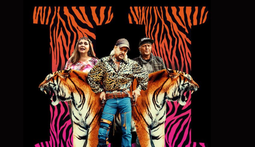 netflix’s “tiger king” pleads to donald trump for a murder pardon here’s why