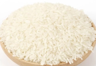 shirataki rice the new “diet rice” of asia