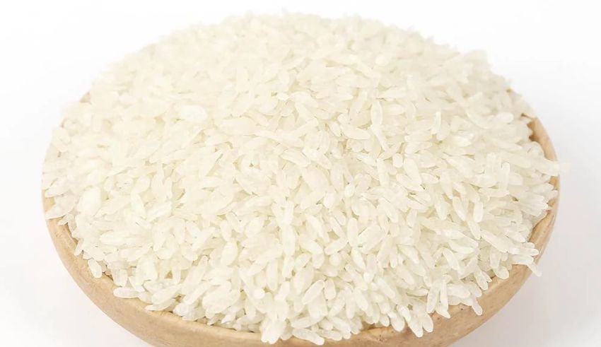 shirataki rice the new “diet rice” of asia