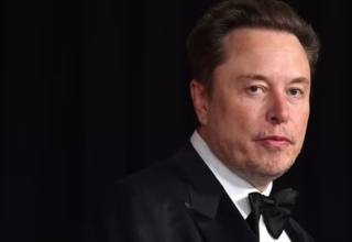 elon musk sounds alarm on singapore’s declining fertility rates could robots and immigration be the solution