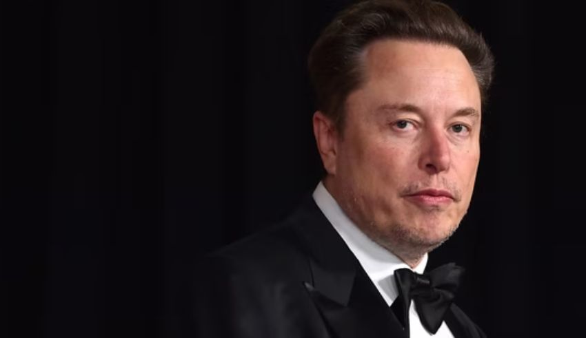 elon musk sounds alarm on singapore’s declining fertility rates could robots and immigration be the solution