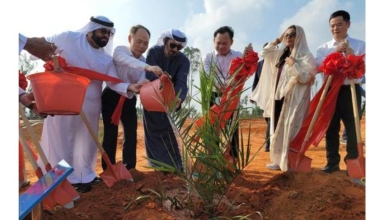 uae and china expand agricultural cooperation with landmark date palm initiative