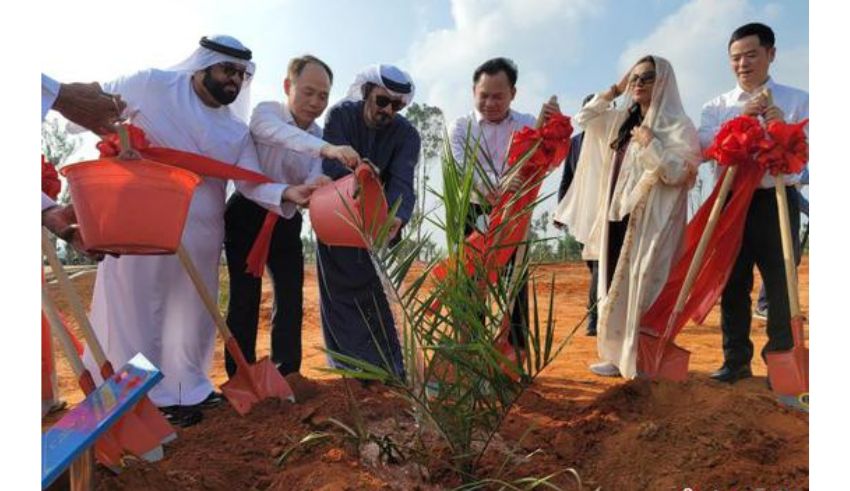 uae and china expand agricultural cooperation with landmark date palm initiative