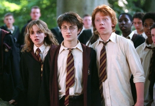 Harry Potter TV series